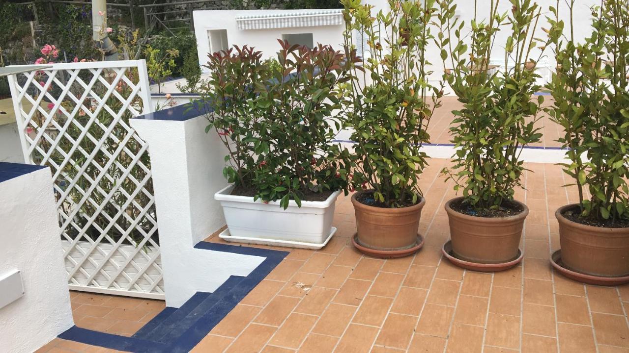 Panorama Da Cartolina Apartment Ischia Luaran gambar