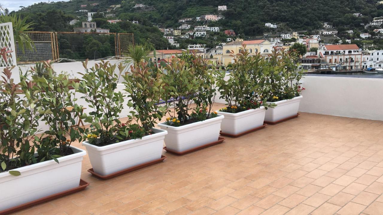 Panorama Da Cartolina Apartment Ischia Luaran gambar